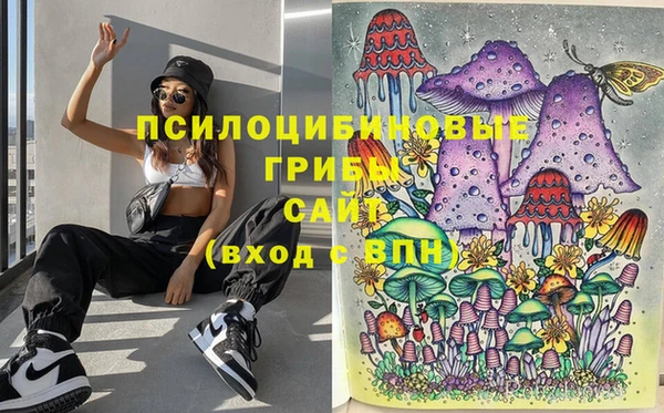 соль ск Протвино