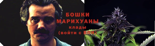 ECSTASY Ветлуга